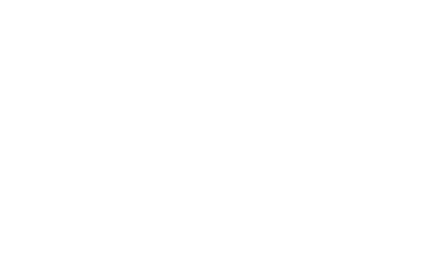NPY logo